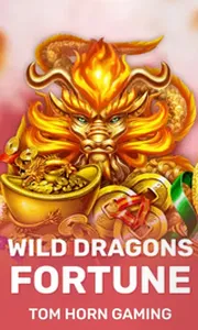 Wild Dragon`s Fortune
